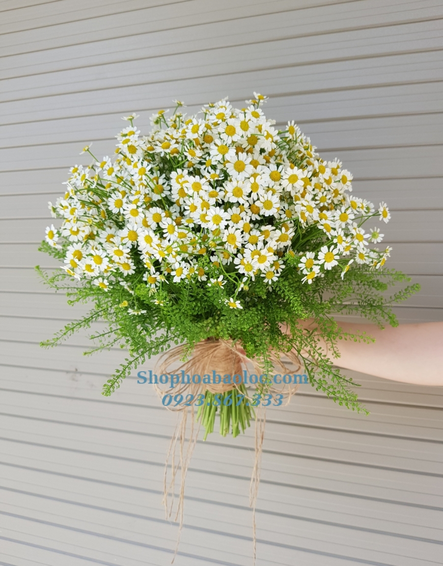 HOA CƯỚI 5052